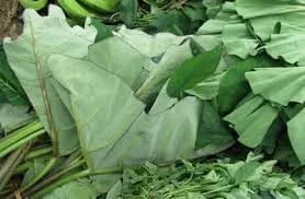 Taro Leaf(Kachu Pata)