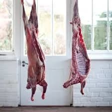 Baby Goat Half 13 Lb
